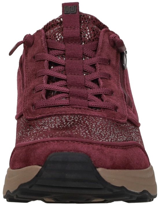 Vooraanzicht van een bordeauxrode sneaker met luipaardprint, rits en taupekleurige zool.