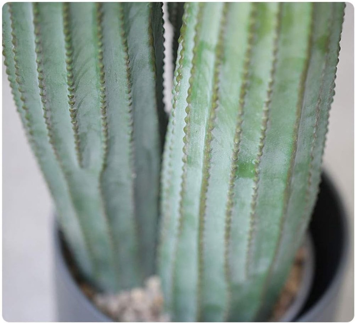 Nordic Feel Glue tropische planten grote kunstmatige Boom van de cactus Indoor Fake Vetplant Trees for Decor van het Huis Kunstplant (Grootte : 60cm)