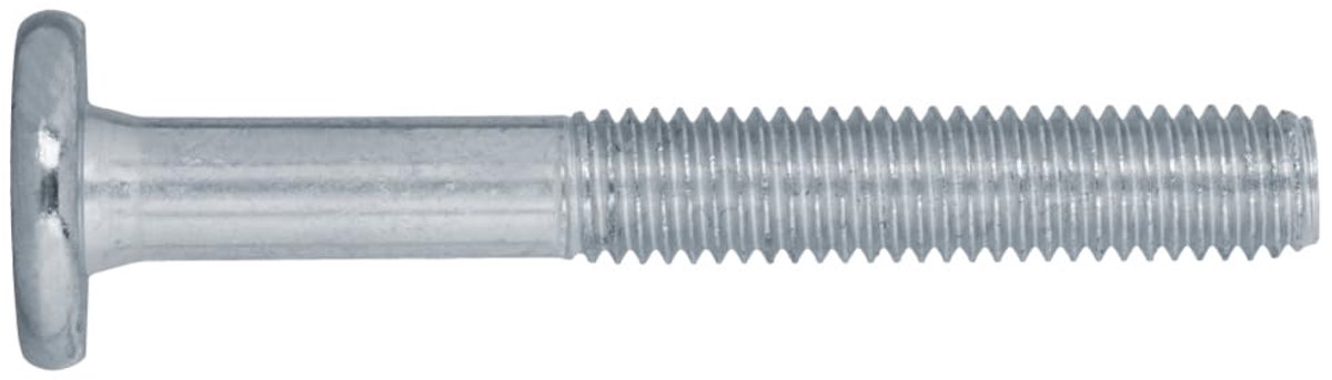 Schroeven met Platte Kop M8 x 120 Meubelschroeven Verzinkt Staal 10 Stuks
