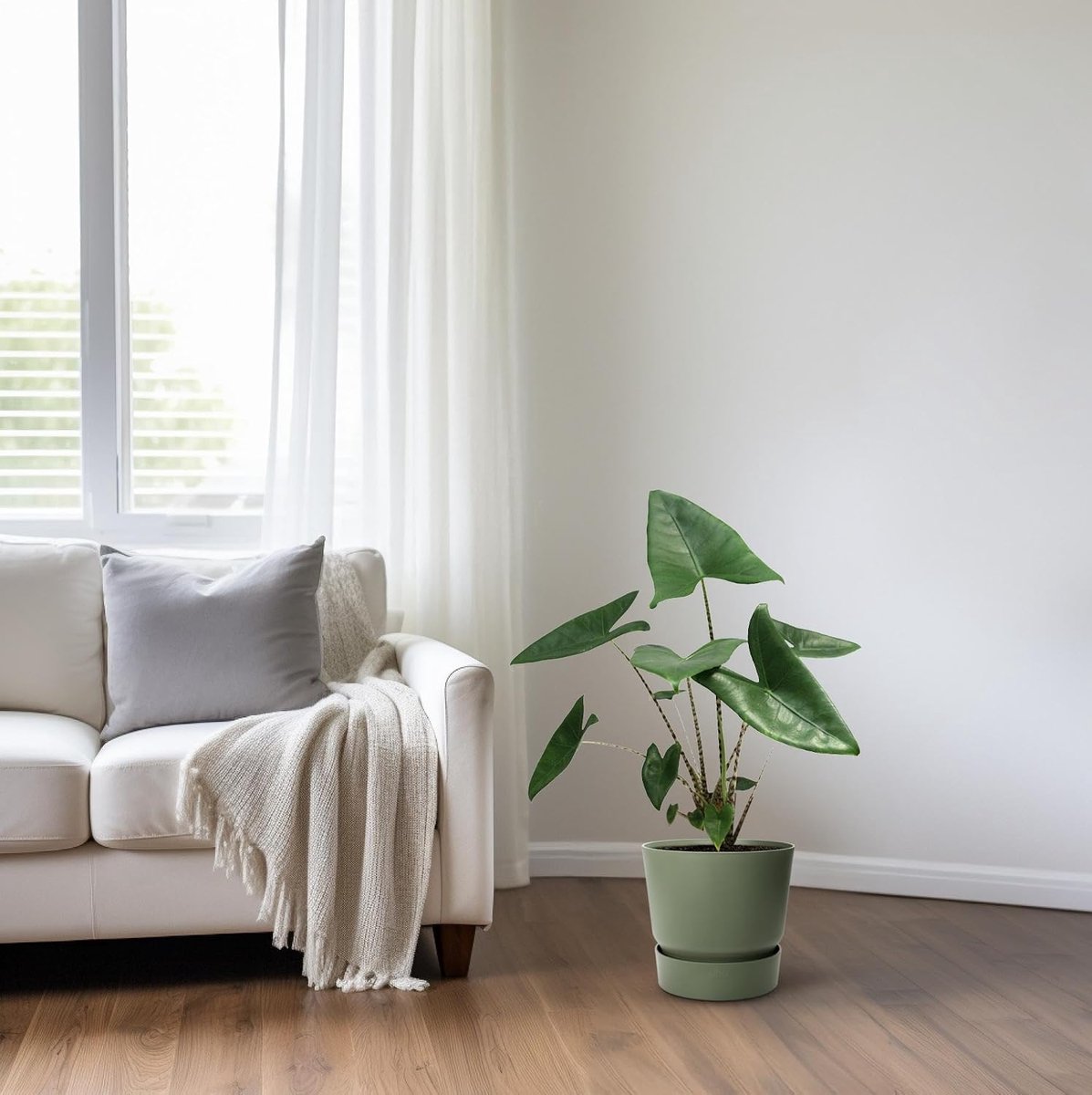 Zebrina - 70-80cm - Ø21cm - Kamerplant - Groenblijvend