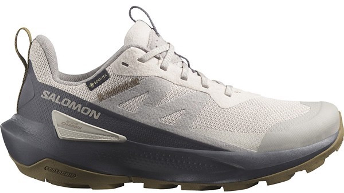 Salomon Elixir Activ GTX W Wandelschoen Grijs