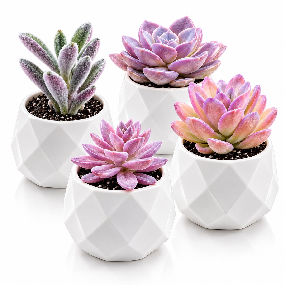 BOTC Kunstplant in pot - 4 stuks - Kleine Kunstplanten - Succulenten - Kamer Decoratie - Nep planten voor Binnen en Buiten