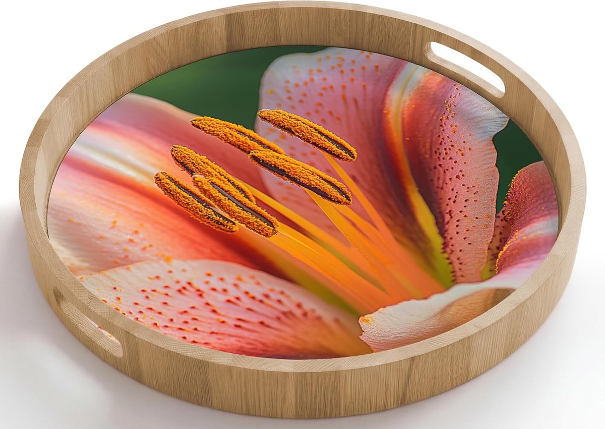 Houten Dienblad Met Handgrepen Eikenhout Krasbestendig