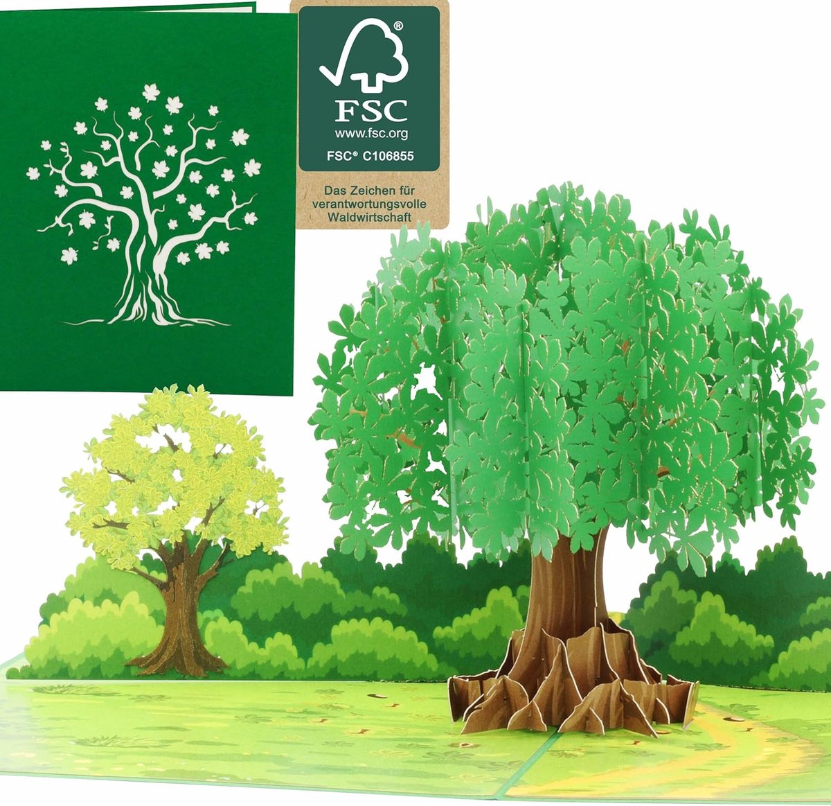 Pop-up kaart levensboom - 3D uitklapkaart - groen - uniek geschenkidee voor natuurliefhebbers - ShopVlot