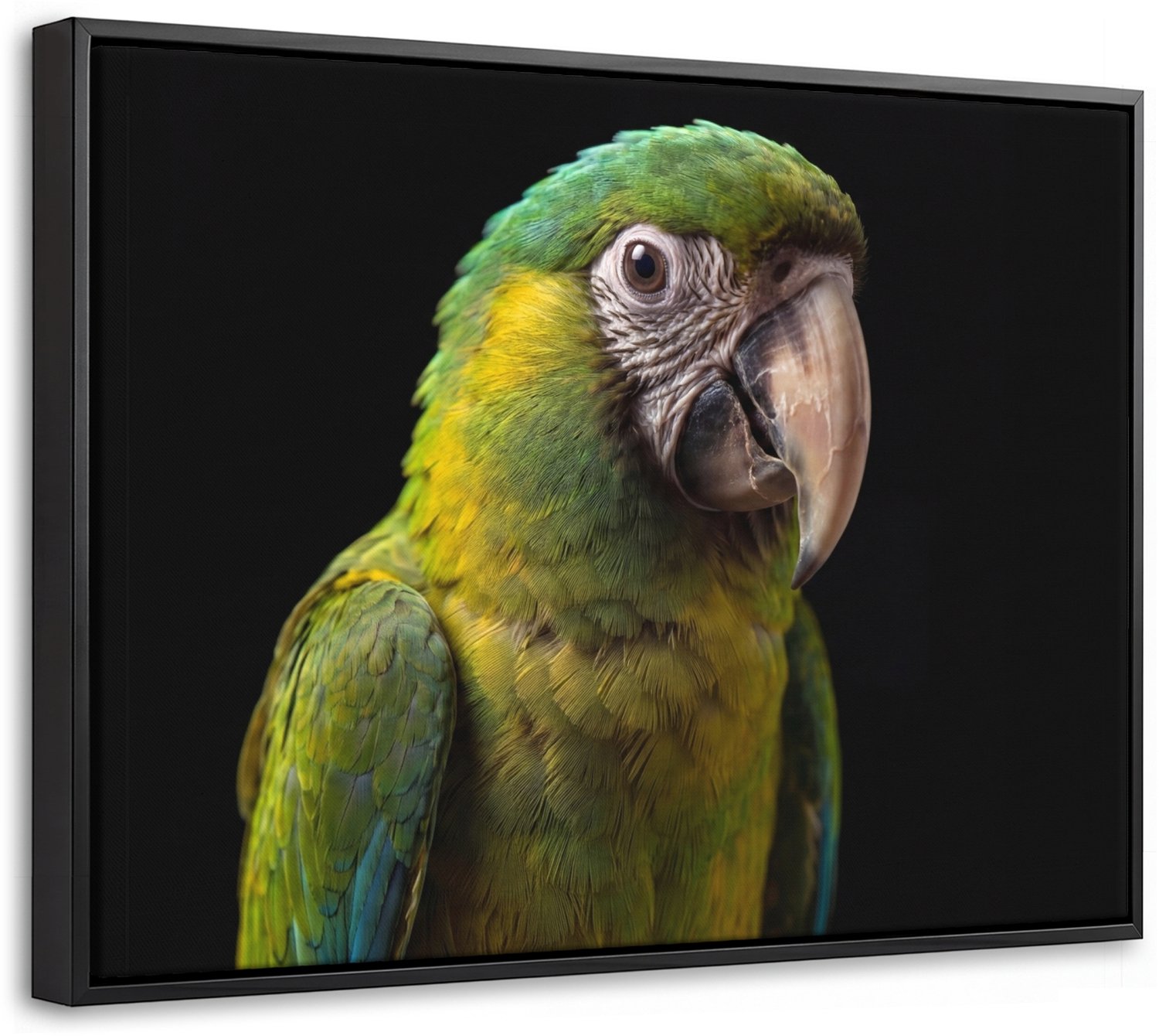 Canvas Schilderij met Baklijst 40x30cm - Ara - Portret - Groen - Muurdecoratie woonkamer - Slaapkamer decoratie - Kamer accessoires - Schilderijen op canvas met lijst