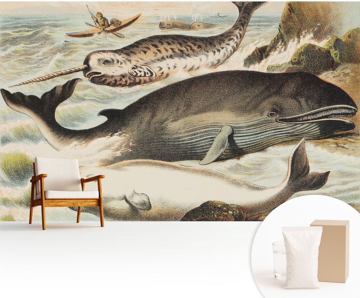 Wallfluent Fotobehang - Wit Vliesbehang - 416x254 cm - Zeereuzen Muurschildering - Gang behang Dieren - Fotobehang Vlies - Slaapkamer behang