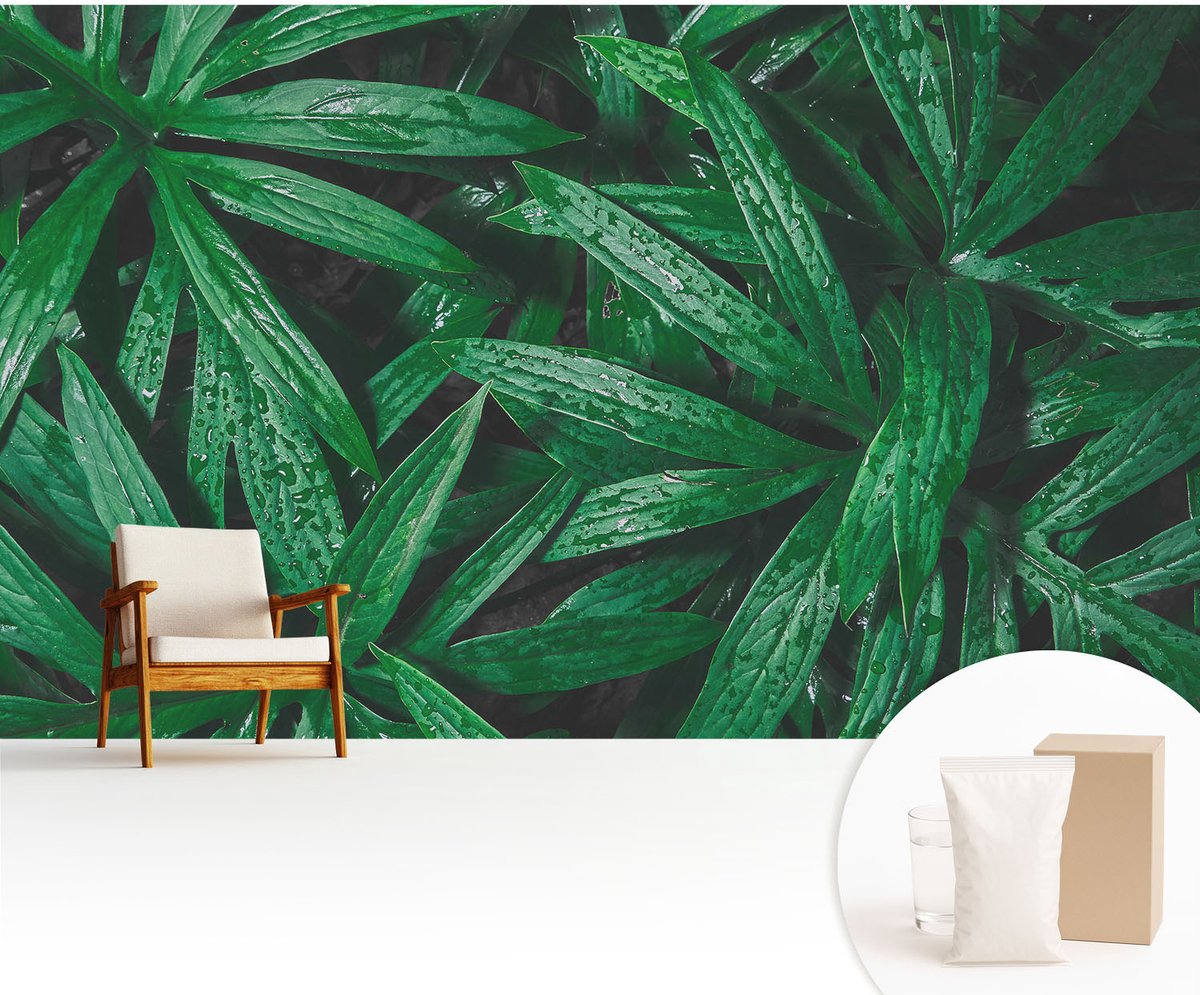 Wallfluent Fotobehang - Groente Vliesbehang - 416x254 cm - Natuurlijke Begroeiing Fotobehang Vlies - Woonkamer behang Bloemen En Planten - Muurschildering - Woonkamer behang