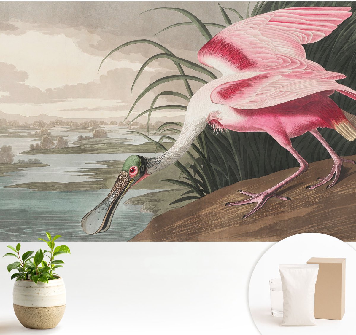 Wallfluent Fotobehang - Grijs Vliesbehang - 104x70 cm - Exotische Vogel Muurschildering - Gang behang Dieren - Fotobehang Vlies - Gang behang