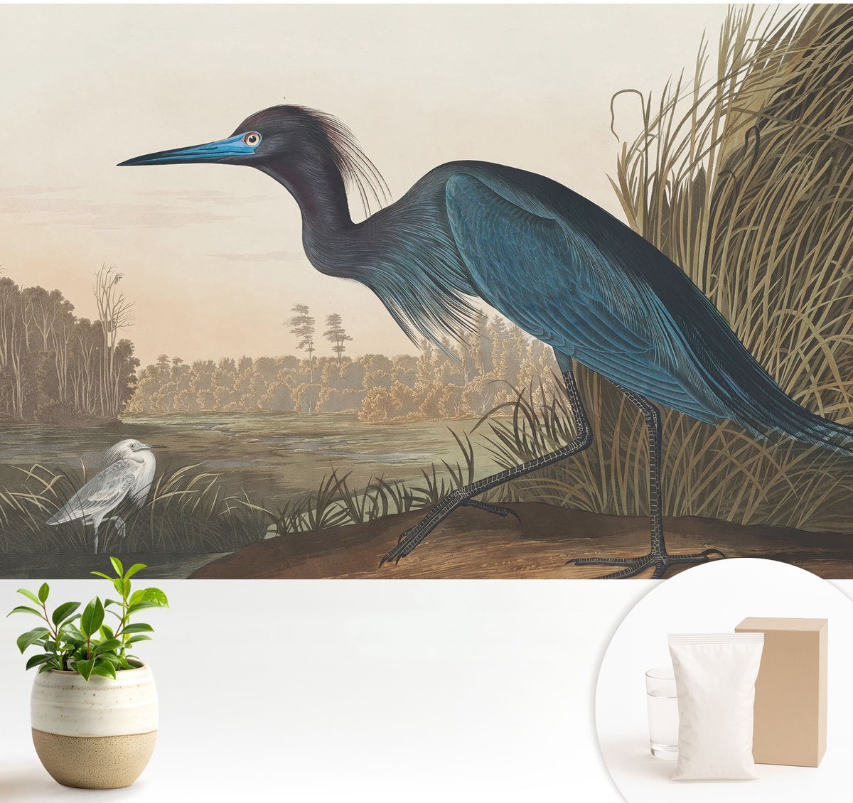 Wallfluent Fotobehang - Groente Vliesbehang - 104x70 cm - Watervogels Fotobehang Vlies - Woonkamer behang Dieren - Muurschildering - Woonkamer behang