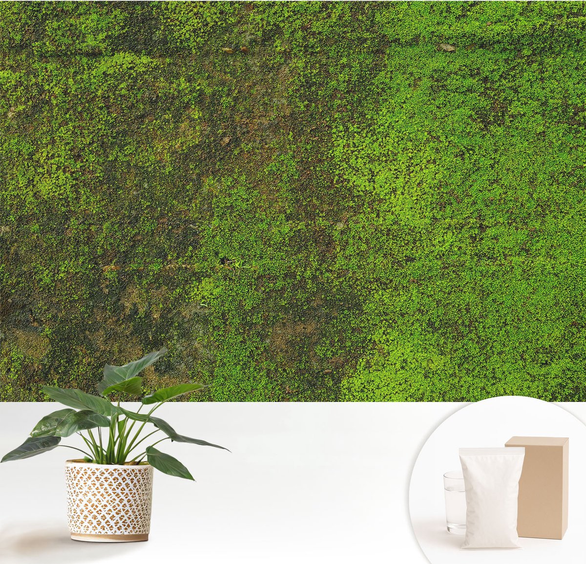 Wallfluent Fotobehang - Groente Vliesbehang - 152x104 cm - Groene Loper Muurschildering - Slaapkamer behang Texturen - Fotobehang Vlies - Gang behang