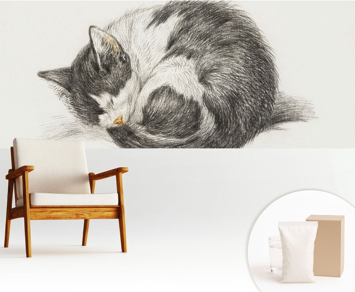 Wallfluent Fotobehang - Zwart-Wit Vliesbehang - 250x104 cm - Schattig Katje Muurschildering - Slaapkamer behang Dieren - Fotobehang Vlies - Slaapkamer behang