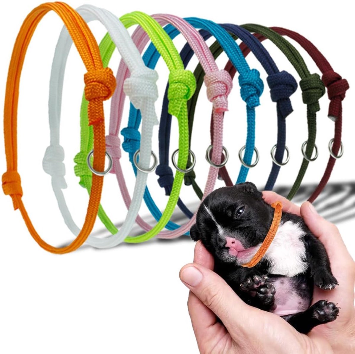 Halsbanden, kleine hondenhalsbanden, puppyhalsbanden, geboortehalsbanden voor kleine puppy's, ter identificatie van puppy's voor kittens