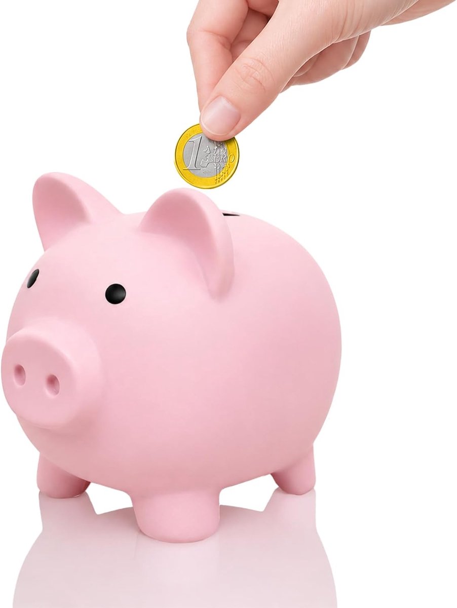 Spaarvarken roze-M - geluksvarken - eenvoudig in gebruik - ideaal voor sparen - ShopVlot