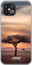 iPhone 12 Pro Max Hoesje Transparant TPU Case - Tanzania #ffffff