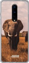 OnePlus 8 Hoesje Transparant TPU Case - Elephants #ffffff