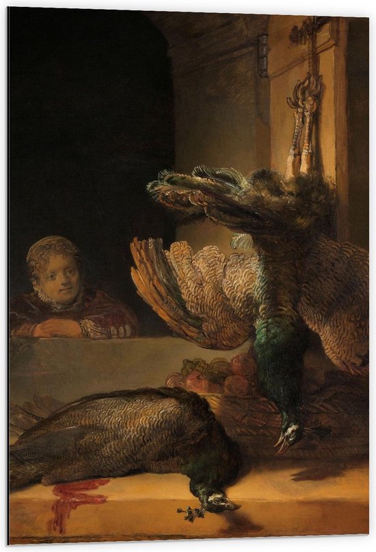 Dibond - Oude meesters - Stilleven met pauwen, Rembrandt van Rijn, ca. 1639 - 60x90cm Foto op Aluminium (Met Ophangsysteem)