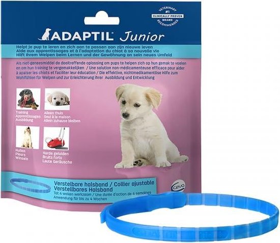 Foto: Adaptil junior halsband hond