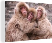 Toile de macaques japonais câlins 2cm 90x60 cm - Tirage photo sur toile (Décoration murale salon / chambre) / Animaux sauvages Peintures sur toile