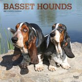 Basset Hounds - Bassets 2021 - 18-Monatskalender