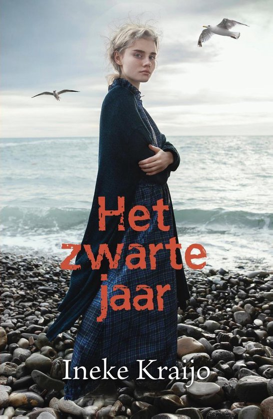 Het zwarte jaar - cover