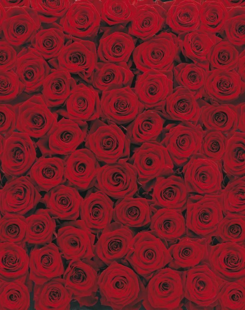 Fotobehang Roses