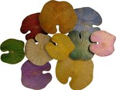 Fine Asianliving Echt Lotus Schilderij Duurzame Wall Art 3D Multicolour