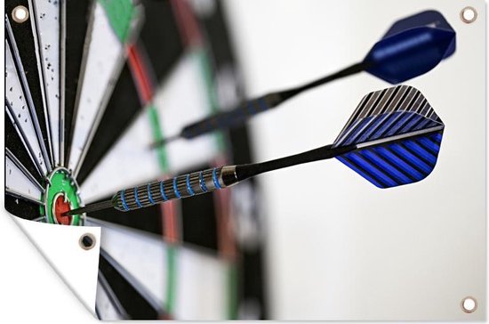 Gros plan d'une affiche de jardin de fléchettes toile lâche