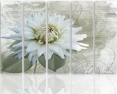Schilderij Witte Bloesem, 5 luik, 4 maten, premium print XXL