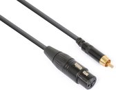 PD Connex XLR (v) - Tulp 1x RCA (m) kabel - 0,15 meter
