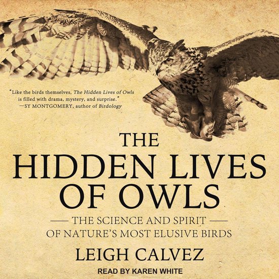 The Hidden Lives of Owls - cover