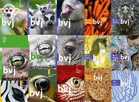 Collage van 12 tijdschriftcovers met dieren zoals apen, olifanten, kikkers, zeepaardjes, octopussen, zebra's, vogels en woestijnvissen.
