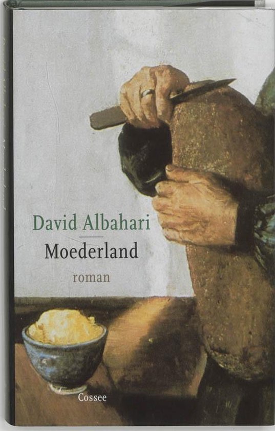 Cover van het boek 'Moederland' van David Albahari