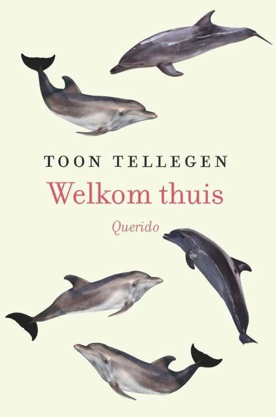 Foto: Welkom thuis