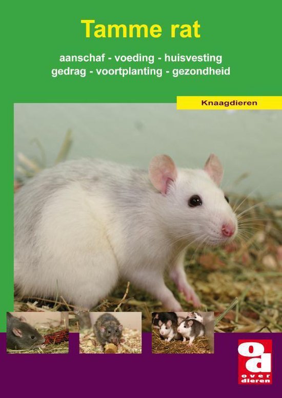 Over Dieren - De tamme rat - cover
