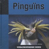 Verbazingwekkende dieren  -   Pinguins