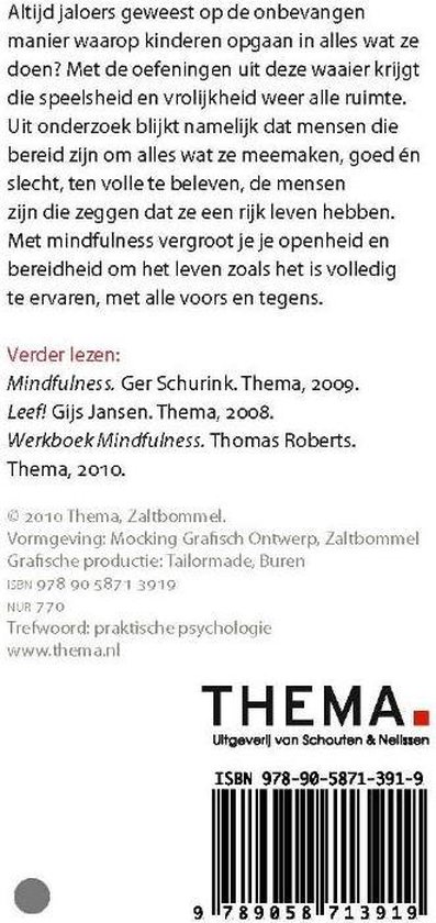 Zeven glanzende, donkere keien liggen op een witte ondergrond in een kronkelend pad, met tekst 'Mindfulness for the Road'.