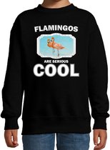 Dieren flamingo vogels sweater zwart kinderen - flamingos are serious cool trui jongens/ meisjes - cadeau flamingo/ flamingo vogels liefhebber 7-8 jaar (122/128)