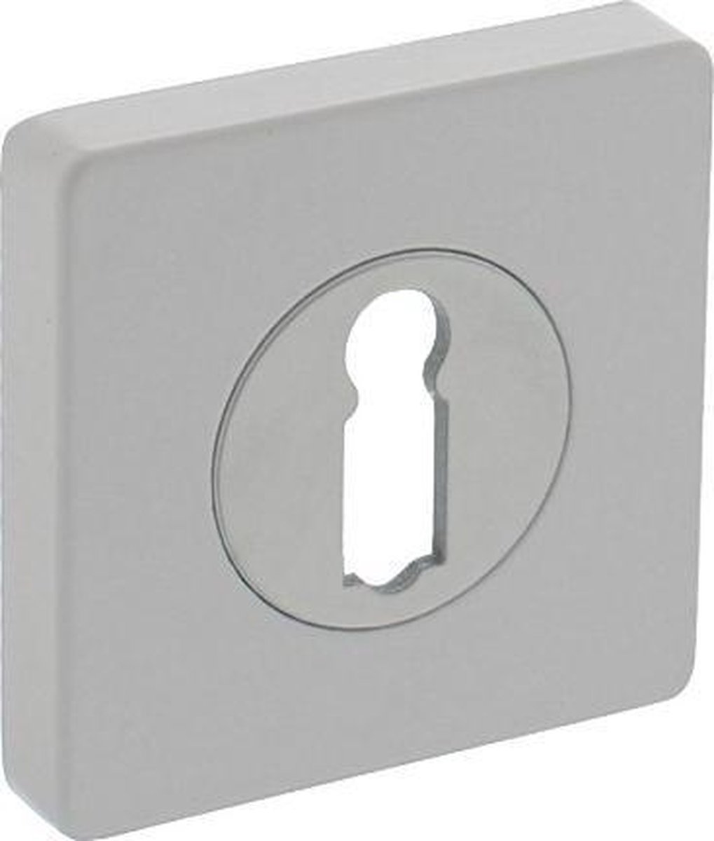 Intersteel Rozet met sleutelgat vierkant 55x55x10 mm wit