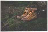 Dibond - Wandelschoenen bij een Boom met Mok  - 60x40cm Foto op Aluminium (Met Ophangsysteem)