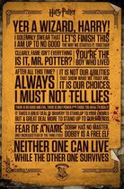 Harry Potter - Poster 61X91 - Quotes