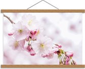 Schoolplaat – Roze/Witte Bloesemtak - 60x40cm Foto op Textielposter (Wanddecoratie op Schoolplaat)