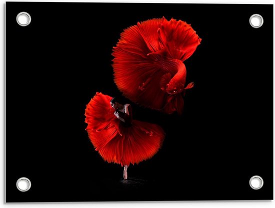 Tuinposter – Danseres met Rode Vis - 40x30cm Foto op Tuinposter  (wanddecoratie voor buiten en binnen)