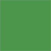 Textile Color Basic, vert gazon, 500 ml