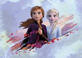 Disney poster Frozen Anna & Elsa blauw, paars en oranje - 600666 - 160 x 110 cm