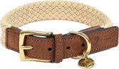 Fantail Halsband Tau Bruin - Hondenhalsband - 40 cm