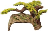 Bonsai boom met schuilplaats 24x16x12 cm