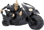 Nemesis Now Beeld/figuur Road Warrior Multicolours