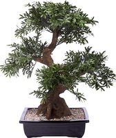 Kunst bonsai boompje 70 cm in pot