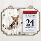 Scheurkalender 2023 Hond: Welsh Corgi Cardigan
