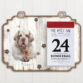 Scheurkalender 2023 Hond: Clumber Spaniel